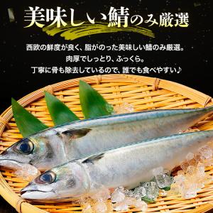 さば 骨取り トロさば 1kg 骨なし 鯖 選...の詳細画像2
