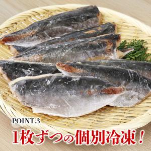 アジ 冷凍 骨取り フィレ 1kg(12〜25...の詳細画像4
