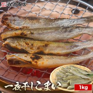 こまい 1kg 一夜干し 北海道産 氷下魚 コマイ 冷凍 魚 干物 炙り おつまみ 下処理済 個別氷結