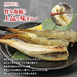 こまい 1kg 一夜干し 北海道産 氷下魚 コ...の詳細画像4
