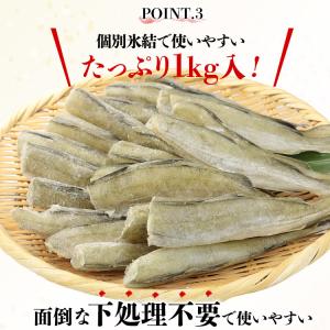 こまい 1kg 一夜干し 北海道産 氷下魚 コ...の詳細画像5
