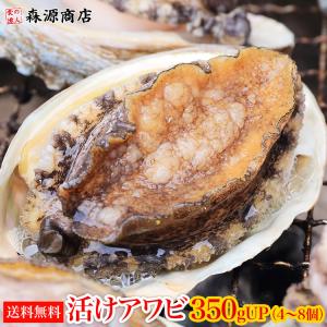 アワビ あわび 鮑 生でお届け 活けアワビ 380gUP（4〜8個） 冷蔵便 冷凍同梱不可 BBQ グルメ 食品 ギフト ポイント利用
