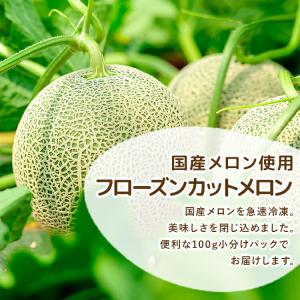 冷凍 フルーツ メロン 国産 1kg 100g...の詳細画像2