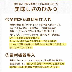 冷凍 フルーツ メロン 国産 1kg 100g...の詳細画像3
