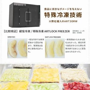 冷凍 フルーツ メロン 国産 1kg 100g...の詳細画像4