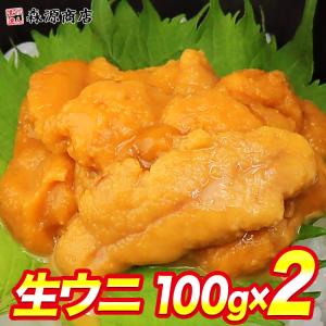 訳あり 生うに 100g×2パック 生 ウニ うに 完全無添加