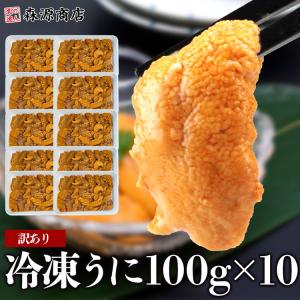 訳あり 冷凍 うに 100g×10パック 不揃い 崩れ お刺身 ウニ