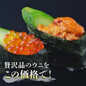 うに 訳あり 特売 冷凍 1kg(100g×1...の詳細画像4