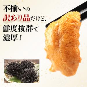 うに 訳あり 400g(100g×4パック) ...の詳細画像3