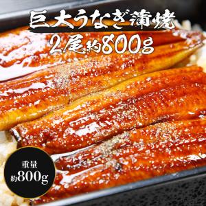 うなぎ 驚く大きさ 約400gx2尾 巨大うな...の詳細画像1