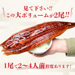うなぎ 驚く大きさ 約400gx2尾 巨大うな...の詳細画像3