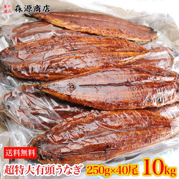 うなぎ 10kg 業務用 箱買い 有頭腹開き 超特大約250g×40尾 鰻 ウナギ 食品 海鮮 中国...