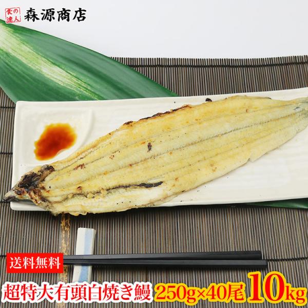 うなぎ 10kg 業務用 箱買い 白焼き 有頭腹開き 超特大 250g×40尾 10kg  鰻 ウナ...
