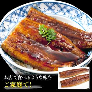 うなぎ 訳あり 国産 たっぷり袋詰め (鰻95...の詳細画像3