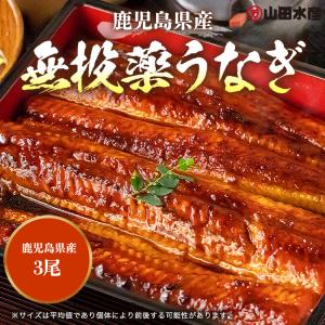 うなぎ 蒲焼き 国産 無投薬 150g×3尾 ...の詳細画像1