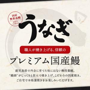 うなぎ 蒲焼き 国産 無投薬 150g×3尾 ...の詳細画像2