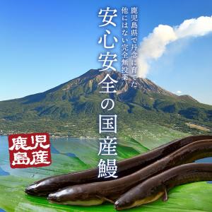 うなぎ 蒲焼き 国産 無投薬 150g×3尾 ...の詳細画像3