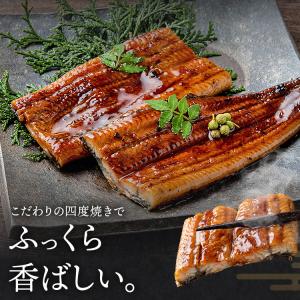 うなぎ 蒲焼き 国産 無投薬 150g×3尾 ...の詳細画像4