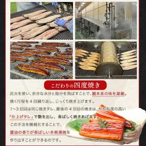 うなぎ 蒲焼き 国産 無投薬 150g×3尾 ...の詳細画像5