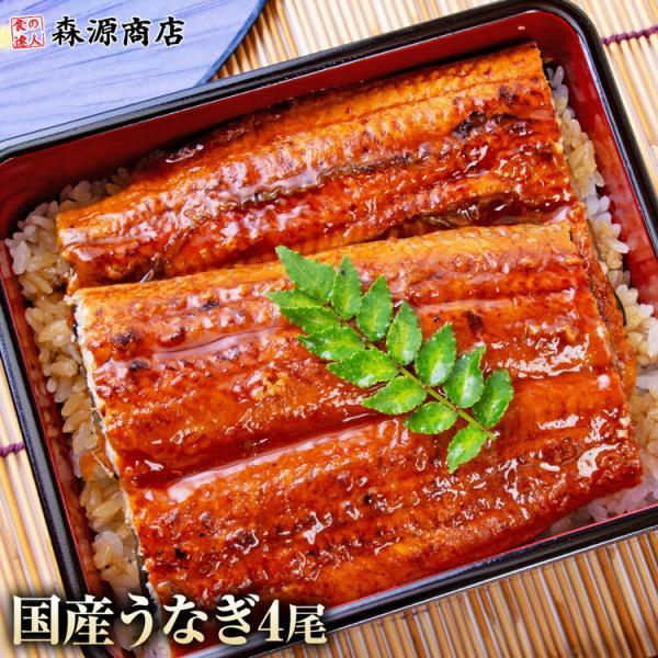 うなぎ 蒲焼き 国産 無投薬 150g×4尾 鹿児島県産 山田水産 食品 海鮮 爆買