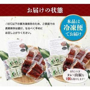 うなぎ カットうなぎ 蒲焼き 10食 個別包装...の詳細画像4