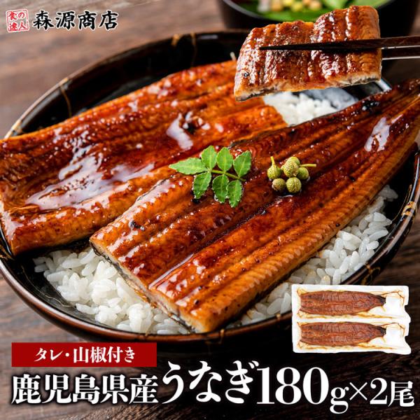 うなぎ 鰻 国産 無投薬 約180g × 2尾 鹿児島県産 ウナギ 蒲焼き 土用丑 山田水産 食品 ...