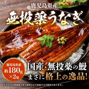 うなぎ 鰻 国産 無投薬 約180g × 2尾...の詳細画像1