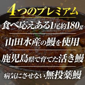 うなぎ 鰻 国産 無投薬 約180g × 2尾...の詳細画像2