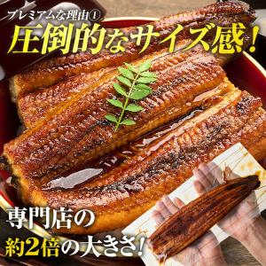 うなぎ 鰻 国産 無投薬 約180g × 2尾...の詳細画像3