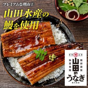 うなぎ 鰻 国産 無投薬 約180g × 2尾...の詳細画像4
