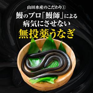 うなぎ 鰻 国産 無投薬 約180g × 2尾...の詳細画像5