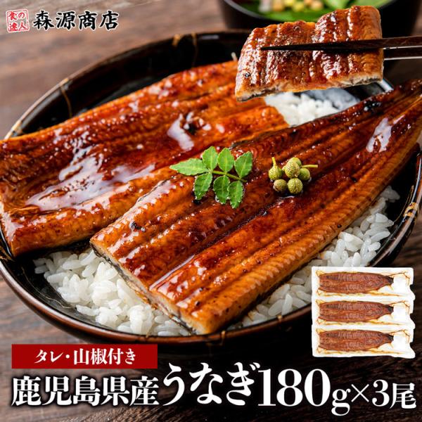 うなぎ 鰻 国産 無投薬 約180g × 3尾 鹿児島県産 ウナギ 蒲焼き 山田水産 食品 海鮮 ギ...
