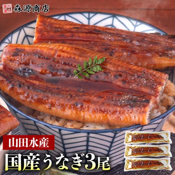 うなぎ 鹿児島県産 3尾 国産 蒲焼き 長焼き 無投薬 焼き上げ 無頭 3本 爆買