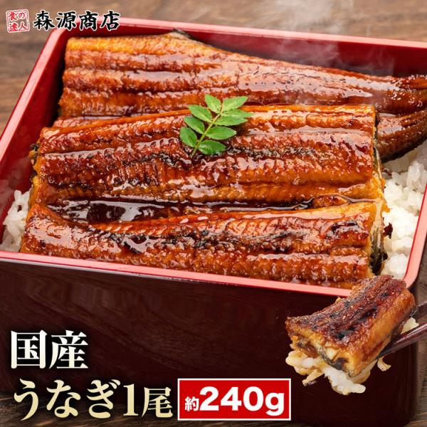 うなぎ 鹿児島県産 1尾 特大 約240g 国産 蒲焼き 長焼き 無投薬 焼き上げ 無頭 1本 鰻 ...