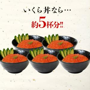 いくら 醤油漬け サーモントラウト 紅鮭 食べ...の詳細画像5