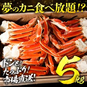 カニ 5kg かに ズワイガニ ボイル 特大 ...の詳細画像2