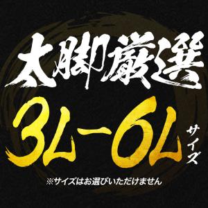 カニ 5kg かに ズワイガニ ボイル 特大 ...の詳細画像4
