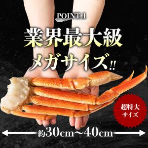 カニ 5kg かに ズワイガニ ボイル 特大 ...の詳細画像5