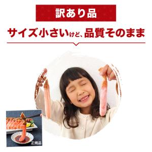 かに カニ 蟹 ズワイガニ 訳あり ズワイ蟹ミ...の詳細画像2