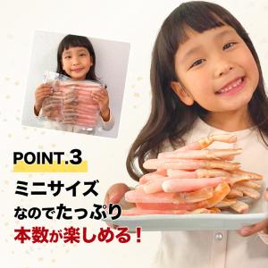 かに カニ 蟹 ズワイガニ 訳あり ズワイ蟹ミ...の詳細画像5