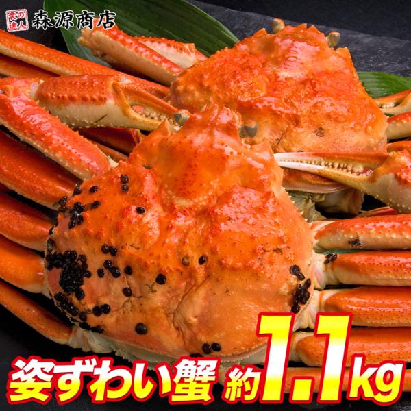 かに カニ 蟹 ズワイガニ ボイル 姿ずわい2尾 約1.1kg(1kg〜1.2kg) 高級カナダ産 ...