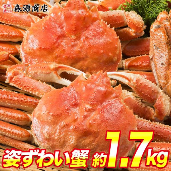 かに カニ 蟹 ズワイガニ ボイル済み 姿ずわい2尾 約1.7kg(1.6kg〜1.8kg) グルメ...