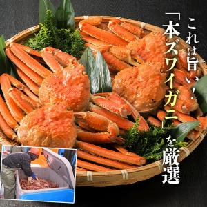 かに カニ丼 10食 本ずわい蟹 ほぐし身70...の詳細画像3