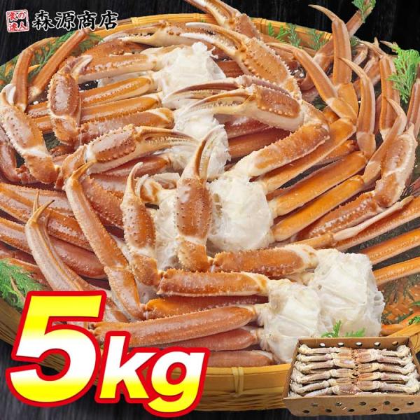 カニ 5kg 生 特売 ズワイガニ 超特大 3L-5Lサイズ 蟹鍋 業務用 ずわいがに 蟹脚 セクシ...