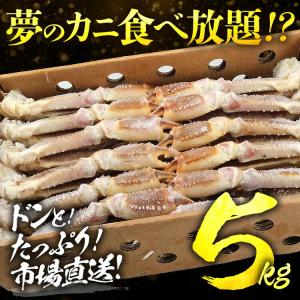 カニ 5kg 生 ズワイガニ 超特大 3L-5...の詳細画像2
