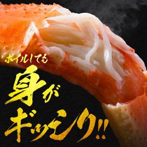 カニ 5kg 生 ズワイガニ 超特大 3L-5...の詳細画像3