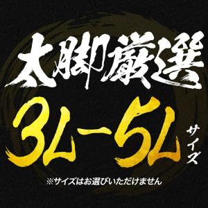 カニ 5kg 生 ズワイガニ 超特大 3L-5...の詳細画像4