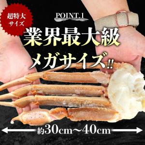 カニ 5kg 生 ズワイガニ 超特大 3L-5...の詳細画像5