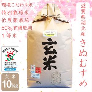 低農薬 きぬむすめ 10kg 令和５年産 玄米 50%有機肥料 特別栽培米 1等米 滋賀県環境こだわり米