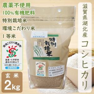 コシヒカリ 無農薬 10kg 令和7年産 玄米 農薬不使用 100％有機肥料